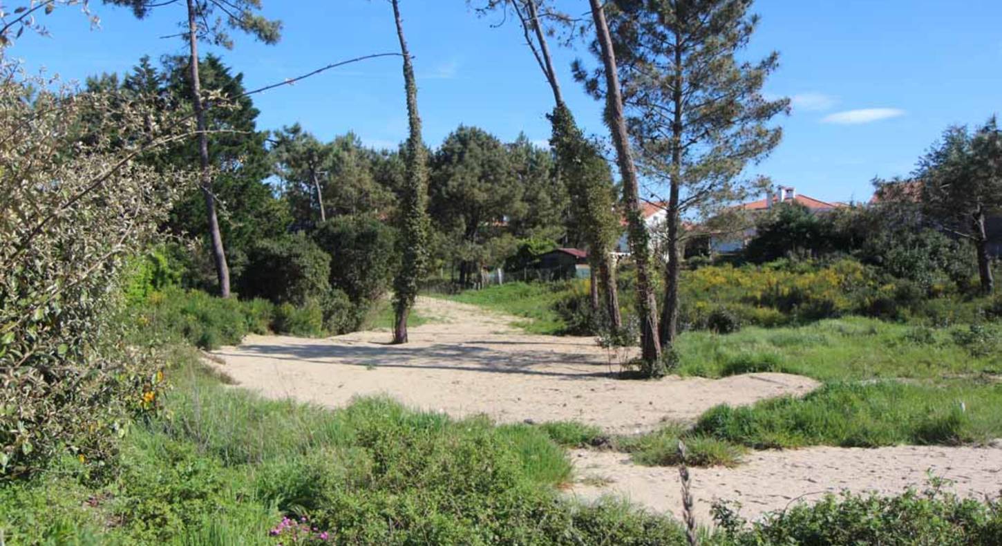 land for sale anglet