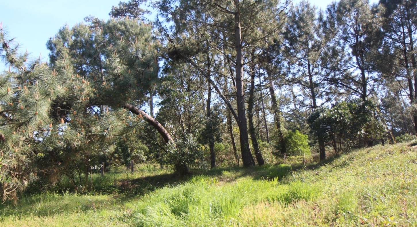 seaside land for sale anglet la barre seaside land for sale anglet la barre