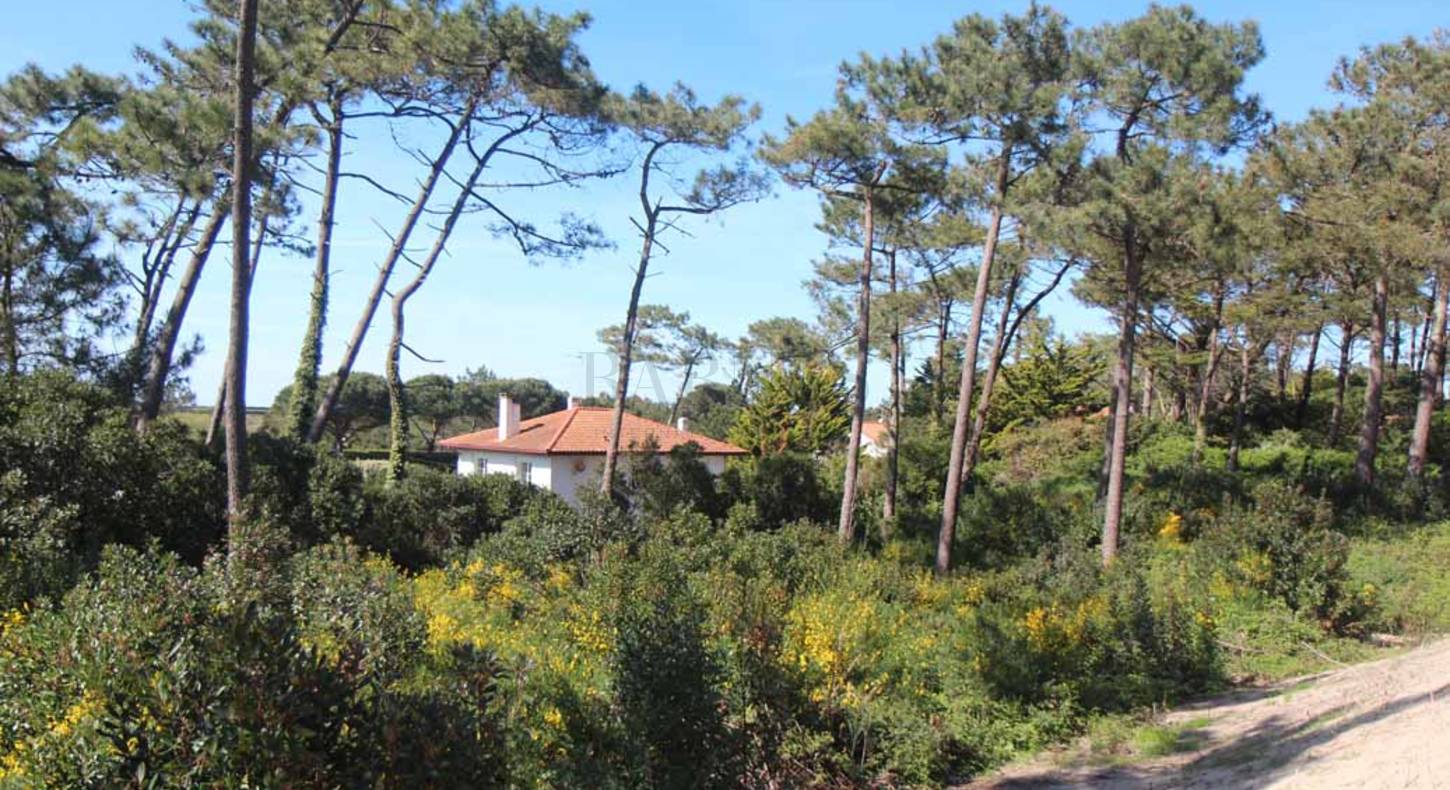 oceanside plot for sale anglet chiberta