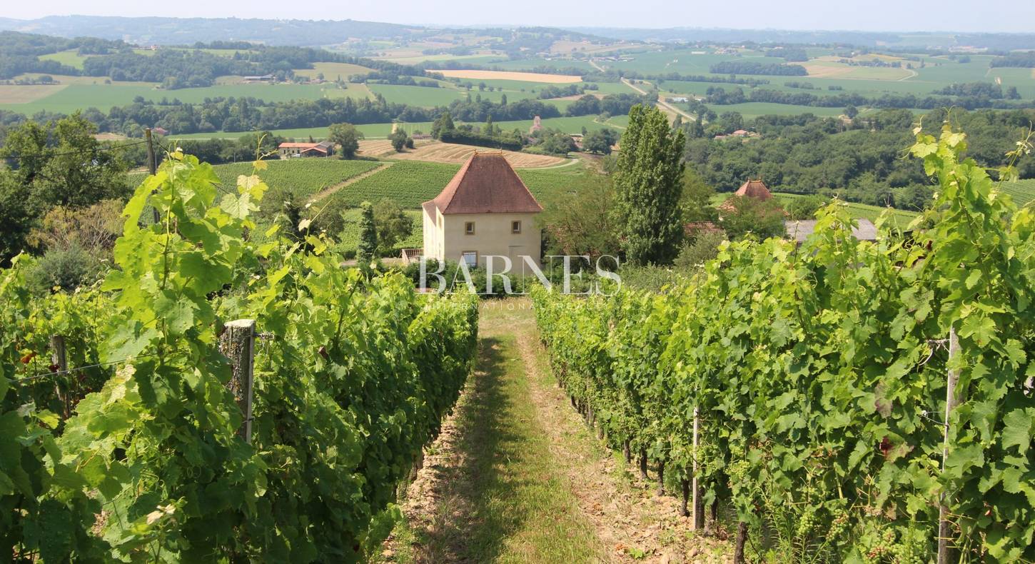 Maison de maître dans le Gers au milieu des vignes