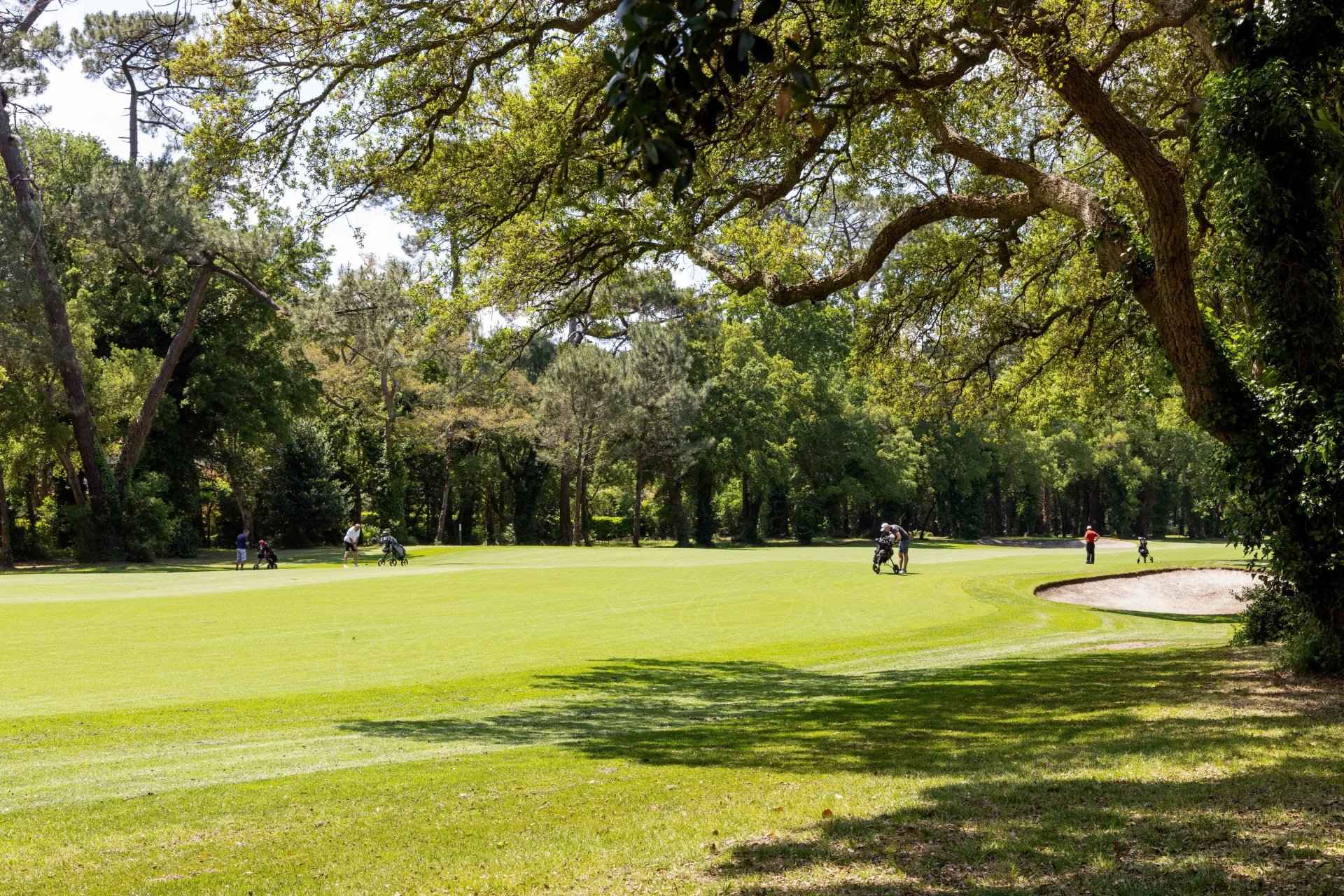 143b195a4fabbd2fda3e03dff0fe6afb a34a587c67 1920 original - Attribut alt par défaut.