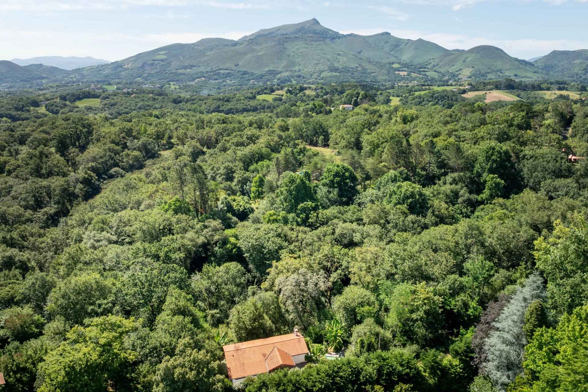 831f6fa9d4e58e53dd2a6cebff288560 6b730c0cb0 1920 original - Attribut alt par défaut.