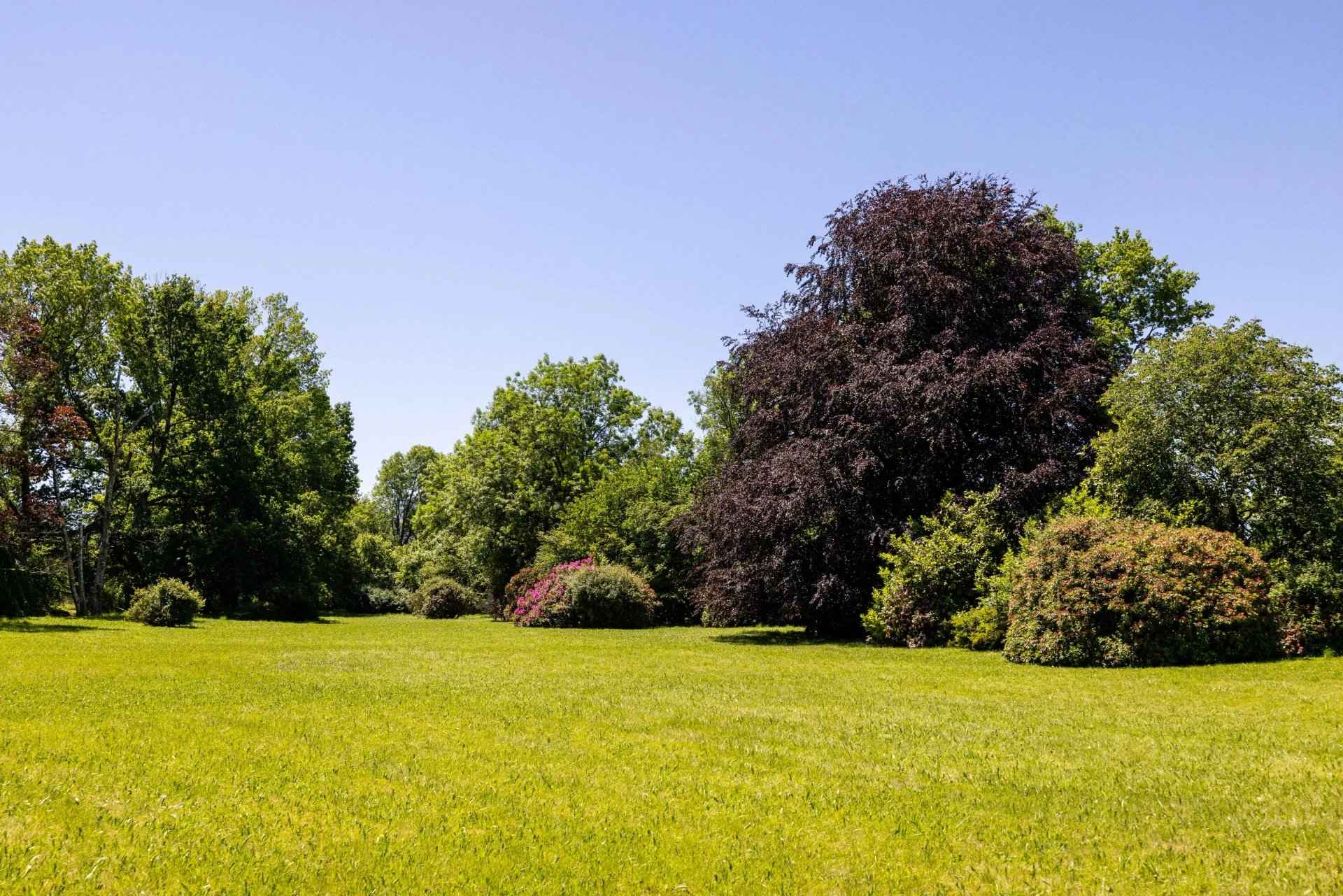 9cb19b325c77adb29c6c8ae19b65e5ae ffdcd0f41d 1920 original - Attribut alt par défaut.