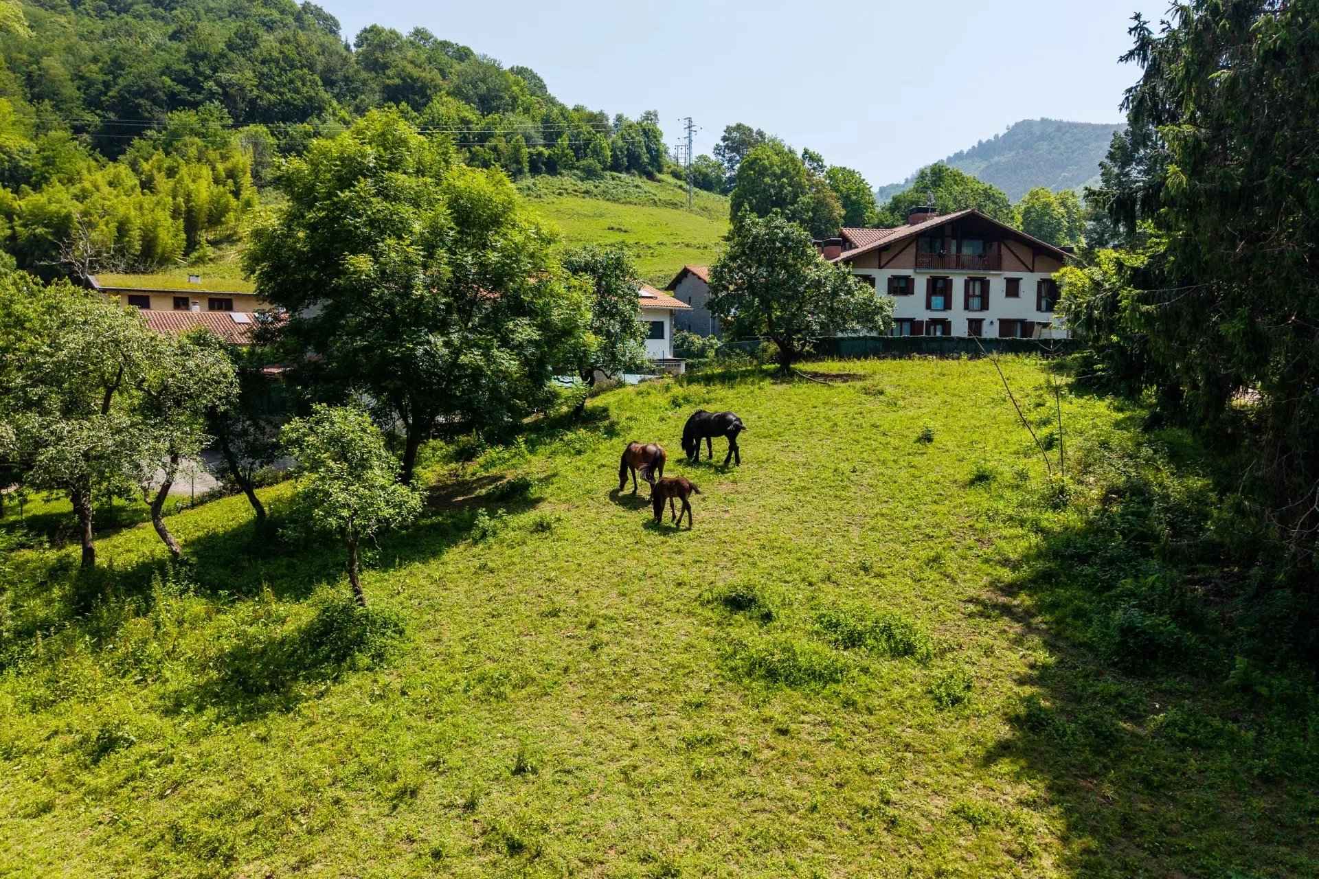 42ced284e4c6c0ea47c8a1547c9fb24f bd9c59cbf9 1920 original - Attribut alt par défaut.