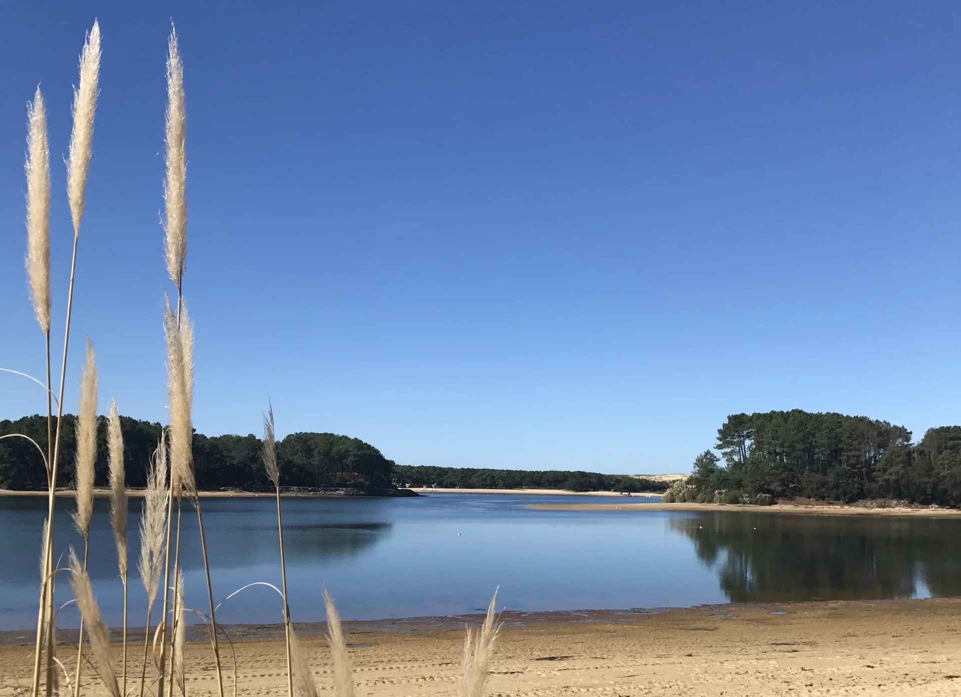 Aa5797a6f7aa66f1638555e51b72aa81 4ef916a74e 1920 original - Attribut alt par défaut.