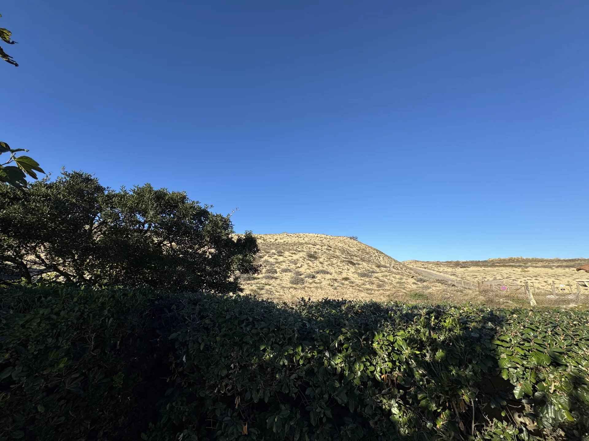 D74cde527492db5eec53be99e72cfac1 20b39012d5 1920 original - Attribut alt par défaut.