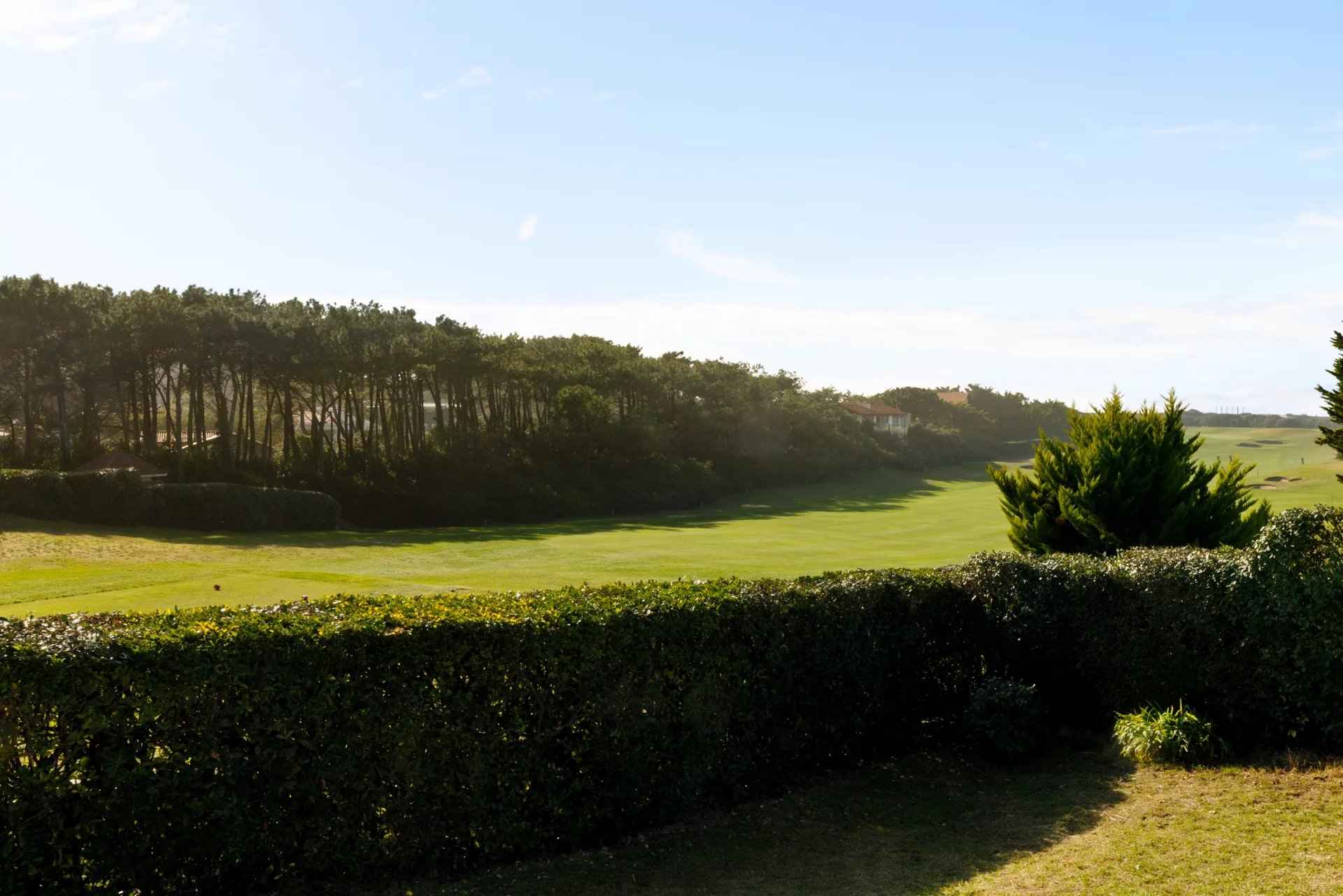 193a88c8adf5bdd880e8719e62e10737 3990ab7d8c 1920 original - Translation missing: en.helpers.application.image_tag.default_alt