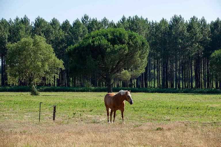 76d9df32e6267c31e7c230f8f50ec60b b5be64c3c8 768 original - Attribut alt par défaut.