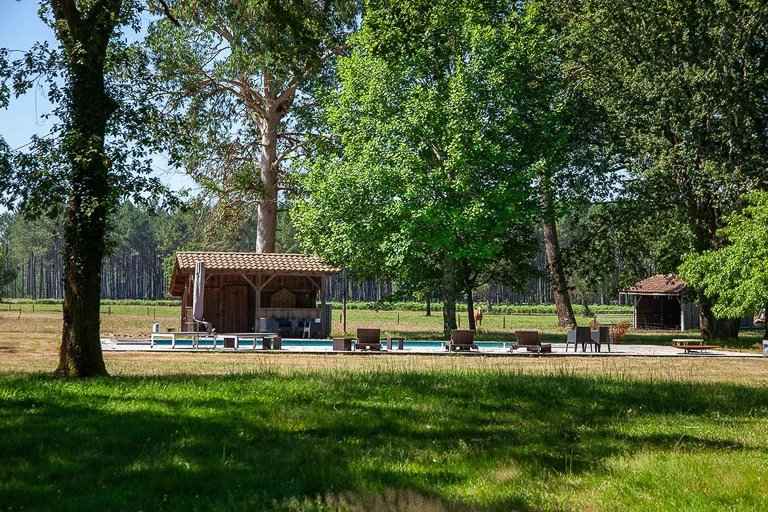 44fa23c65876c95ce8c8c21a78733003 419348349a 768 original - Attribut alt par défaut.