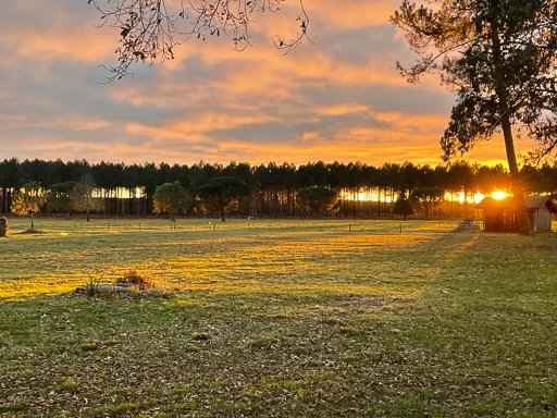 Eafd096032c0775c35407e6376b5c1ec d6b176e4de 512 original - Attribut alt par défaut.