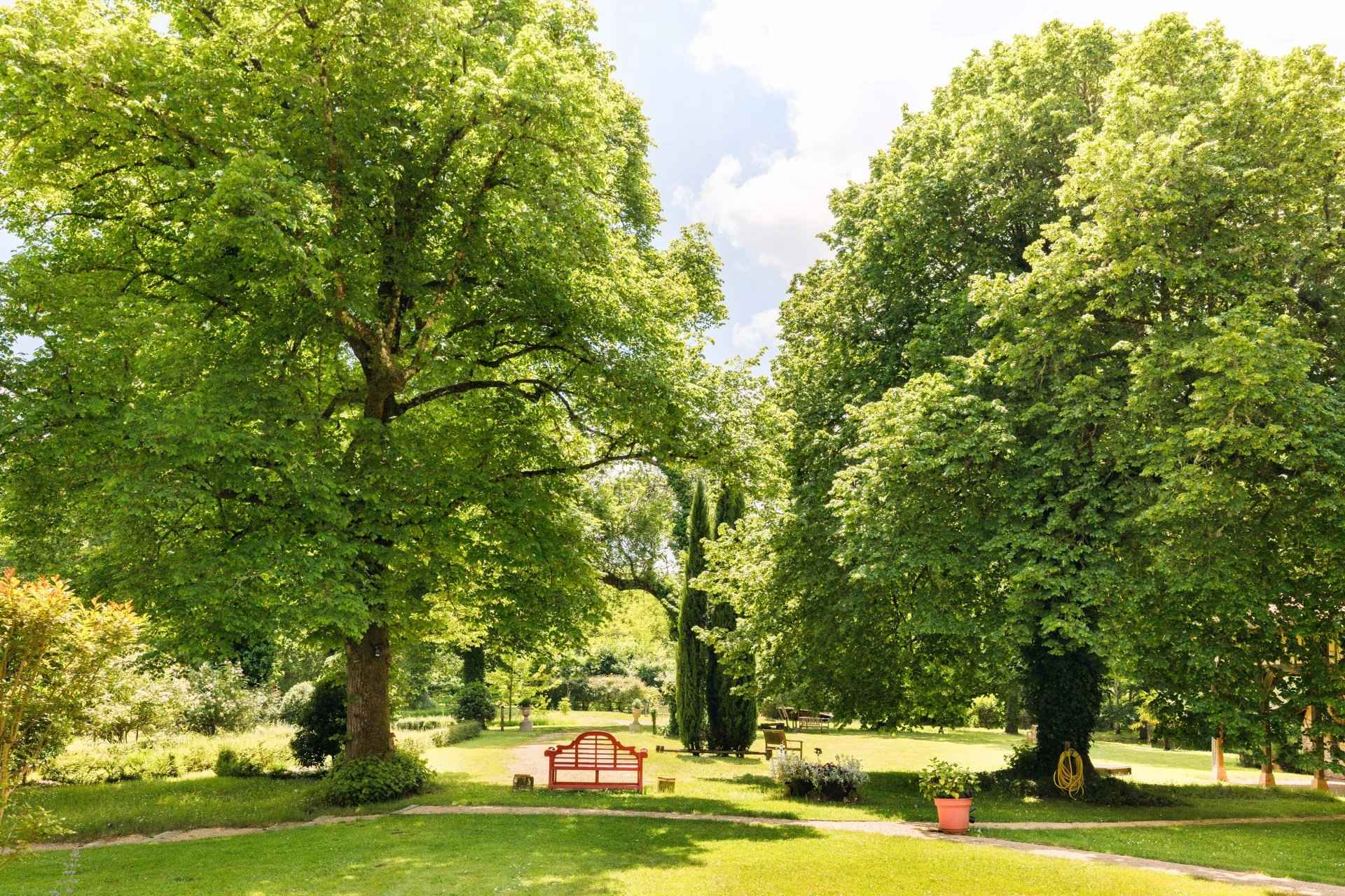 096155049a0c709277359a0559e46b06 dec503aace 1920 original - Translation missing: en.helpers.application.image_tag.default_alt