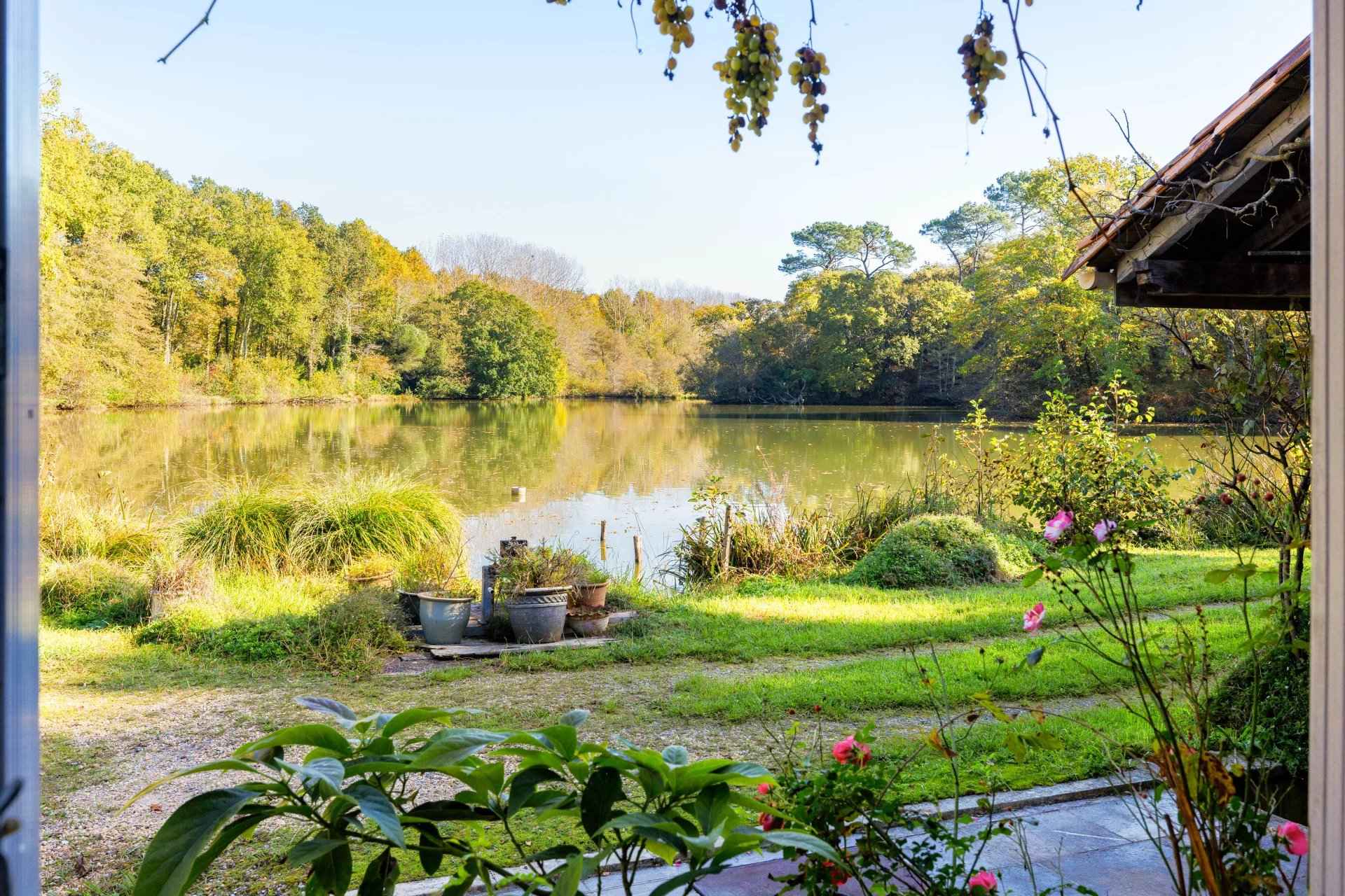 Cd6c41ce530deecb0d487632d09c057d 8057a27df7 1920 original - Translation missing: en.helpers.application.image_tag.default_alt