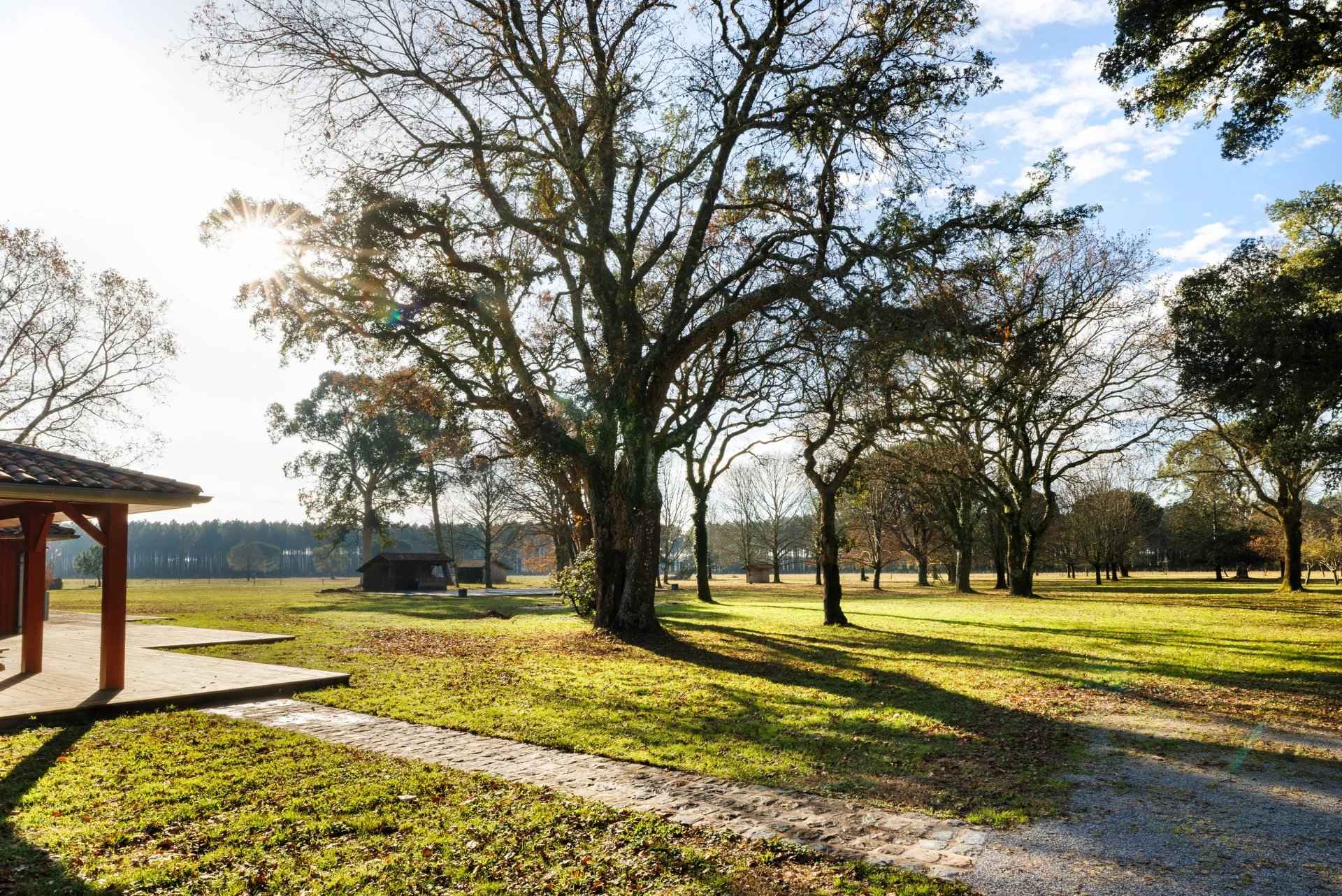 11c3857ef6435e2ca60c0aaaeda48c60 c0c433a8b9 1920 original - Attribut alt par défaut.