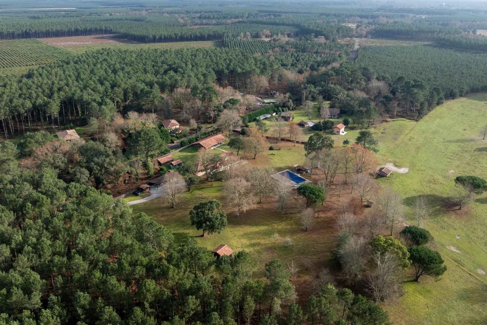 8b11e32c91fdae2ed9faa95c8fb886b1 edffc27460 1920 original - Attribut alt par défaut.