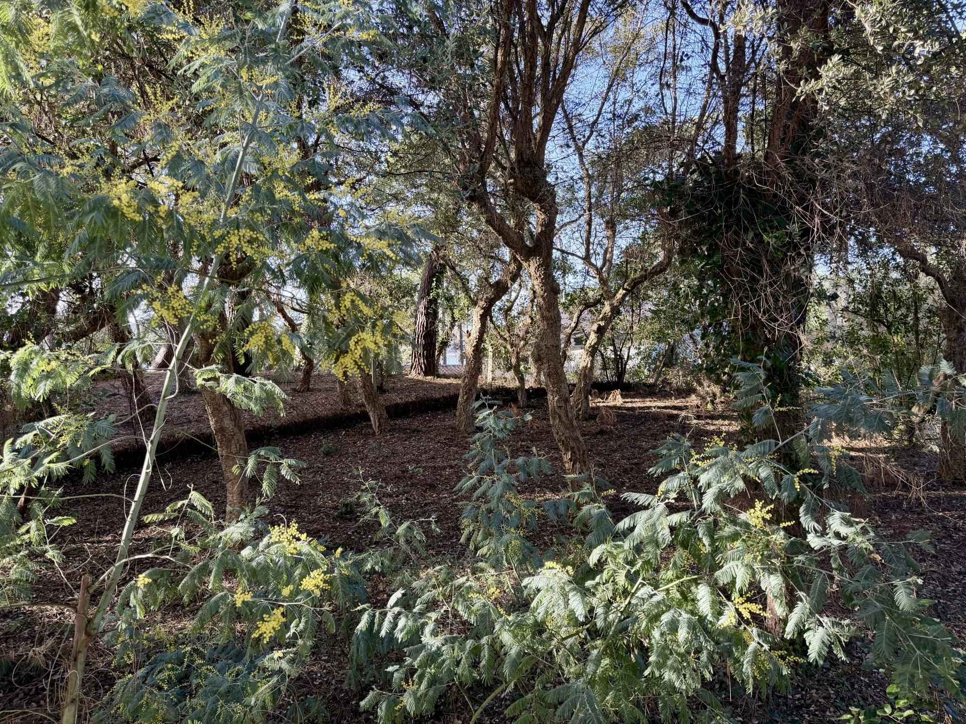 28cbb9ecfbe18be89e5607498e5398d4 ba85ac0ce6 1920 original - Attribut alt par défaut.