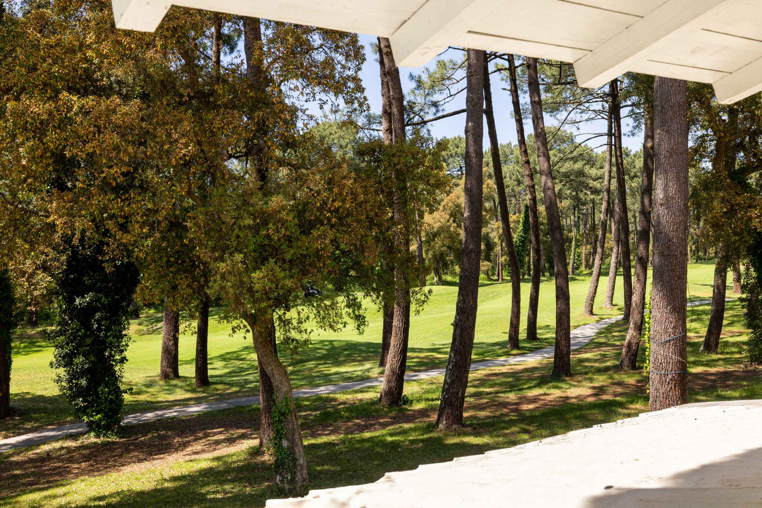 17468024169455a23cb599a4e2711c7640ad4714de - Attribut alt par défaut.