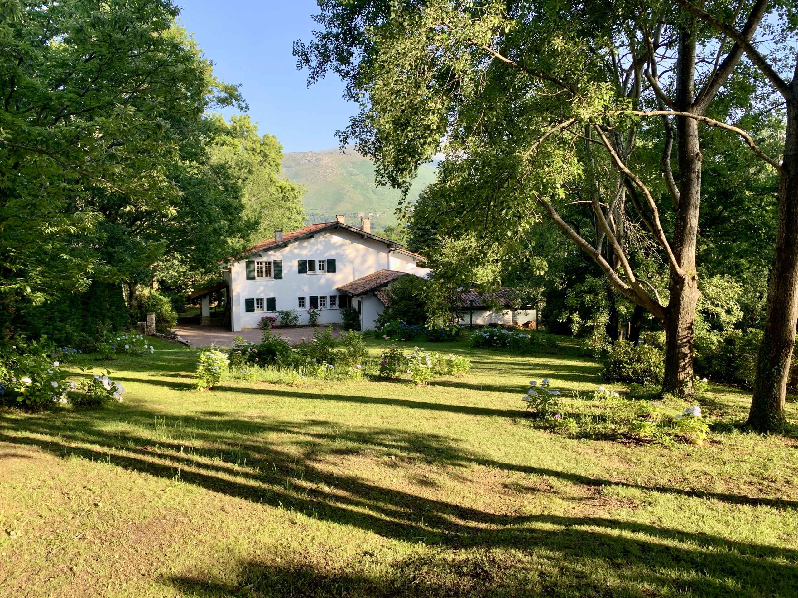 1699520205b8ac2bf4e6c341848309d1fc28c5af27 - Attribut alt par défaut.