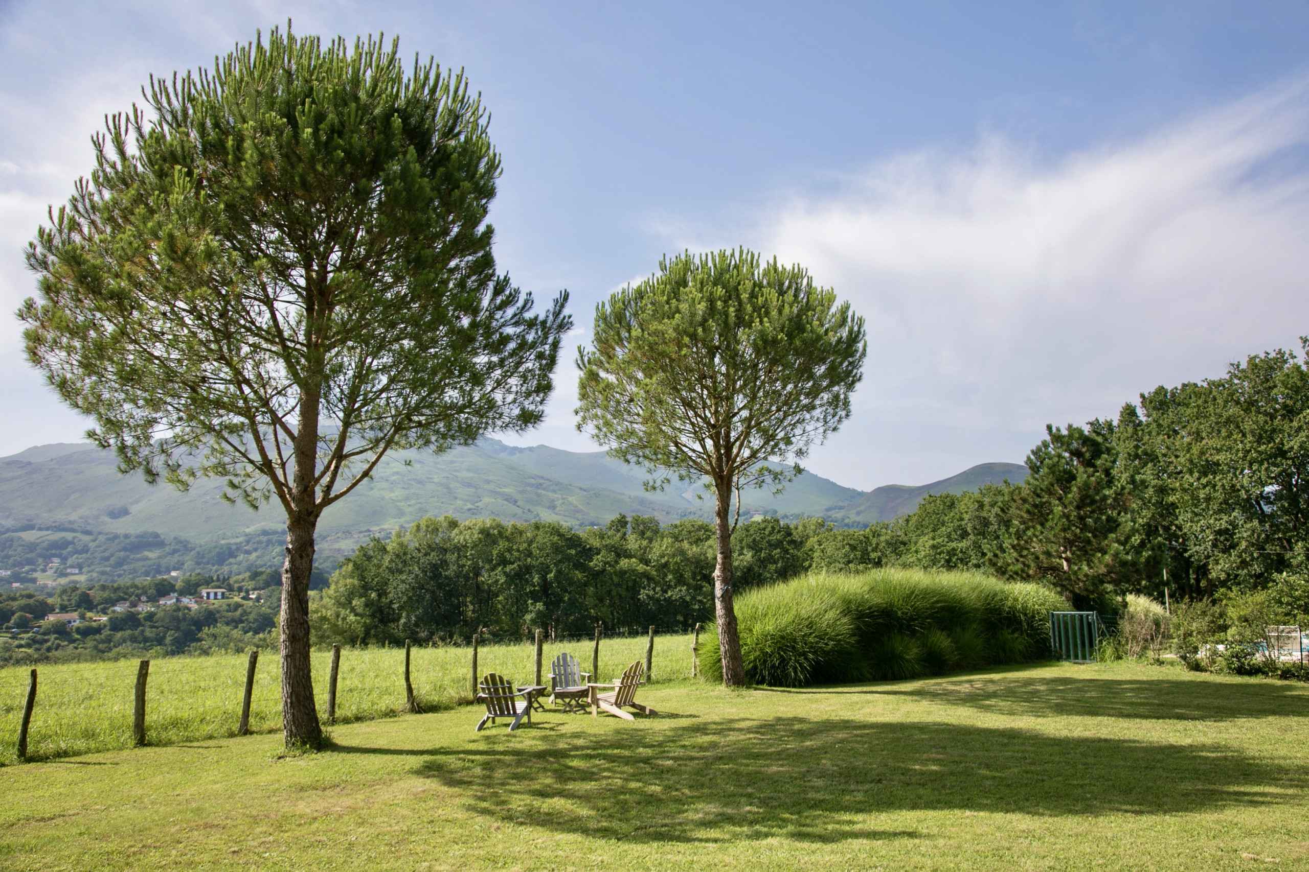 1699520218cc359e5616f60dac6f0906718dd0548c - Attribut alt par défaut.