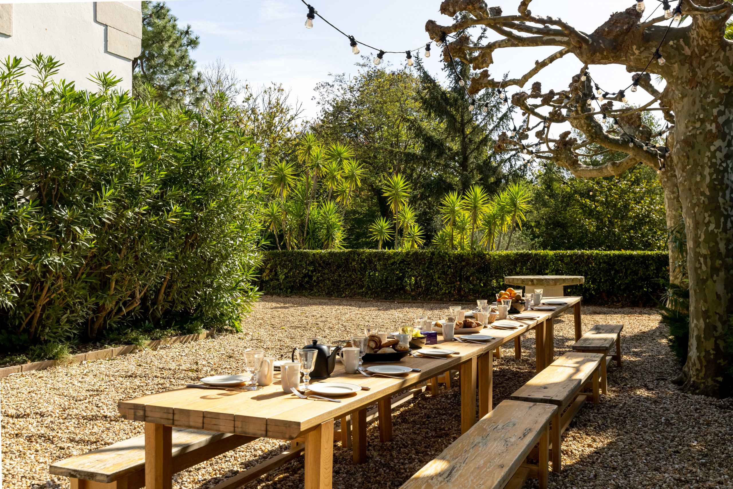 1666618528e498d47df6a420ebebb4e7537a6207fd - Attribut alt par défaut.