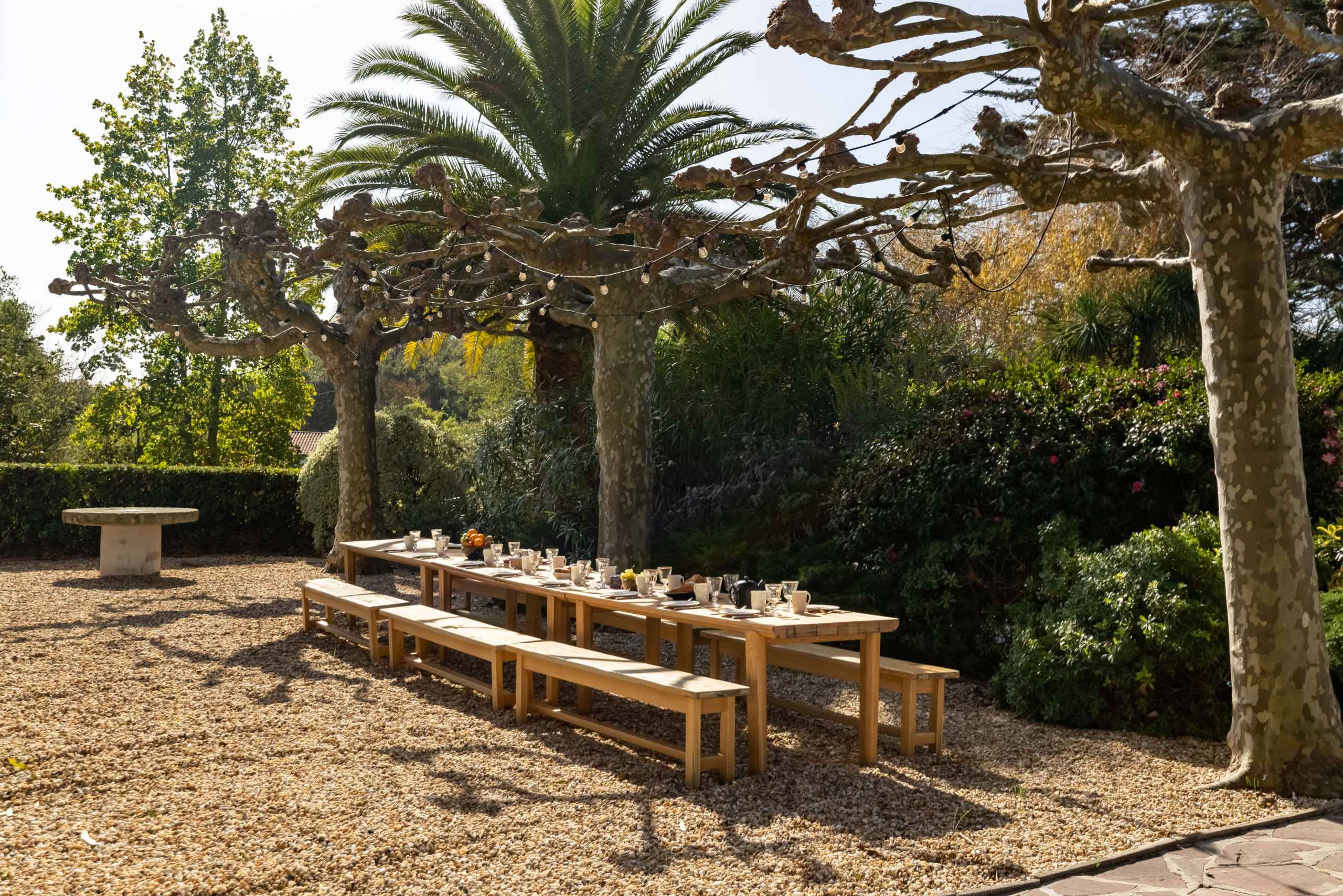 1666618494fe5bd3b3a00ca39ac212ef62151c4a78 - Attribut alt par défaut.