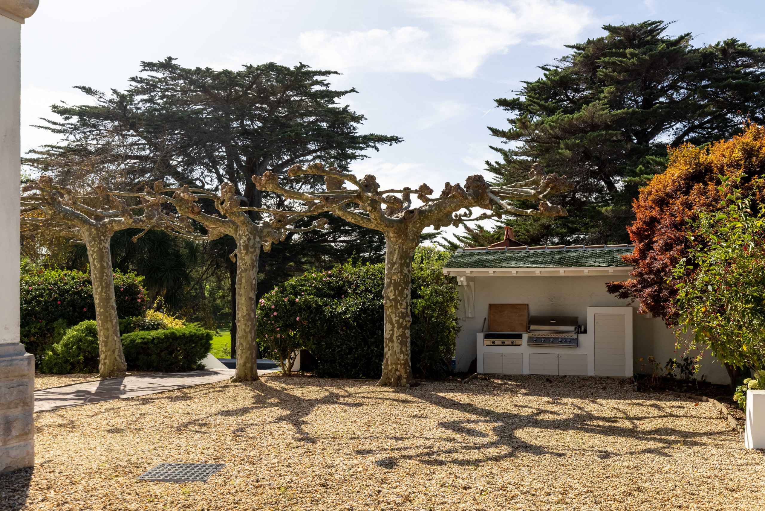 1666618800d0fb2bde9644d823e32a1e6da6e2d7cb - Attribut alt par défaut.