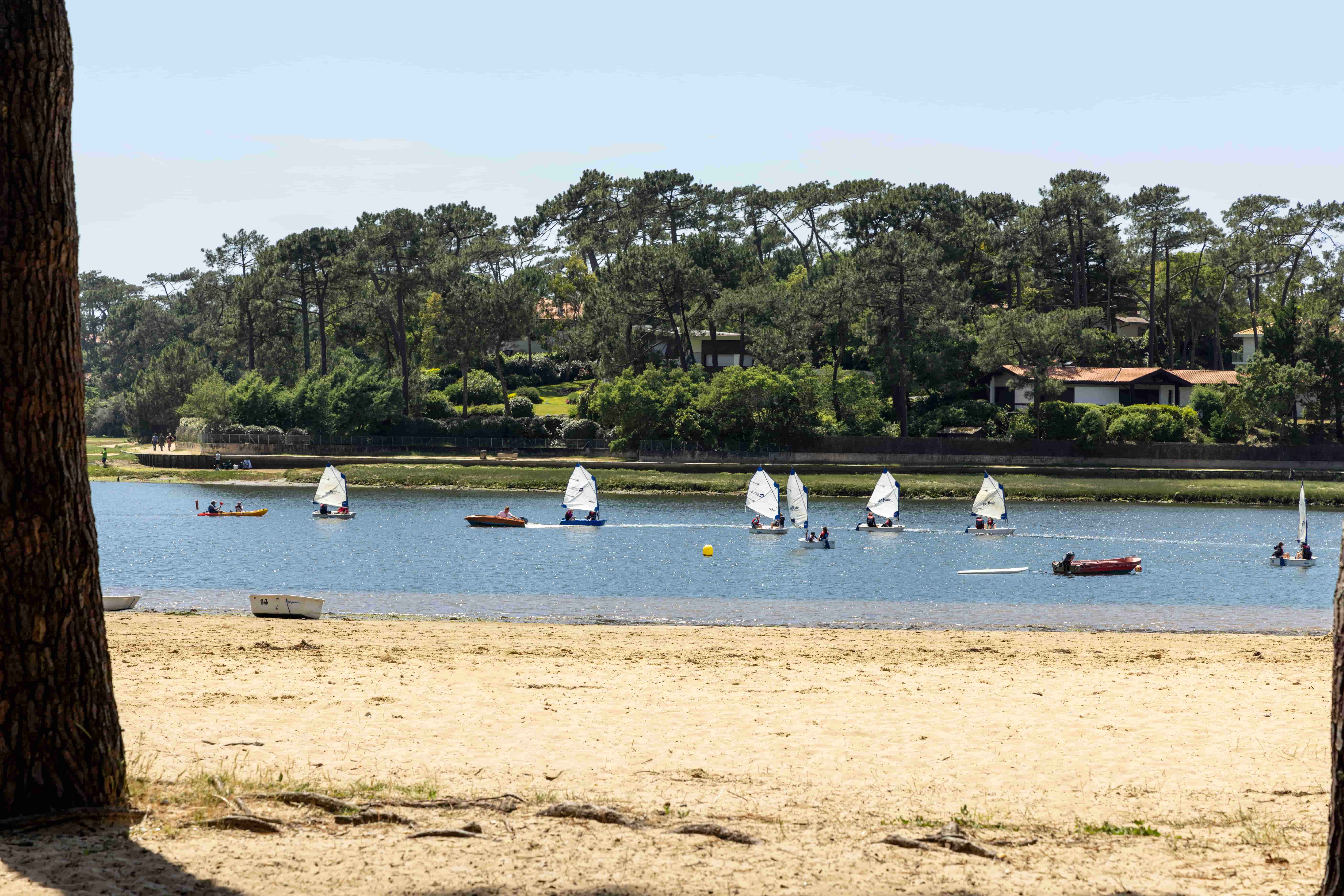 2k9a7731 - Translation missing: en.helpers.application.image_tag.default_alt