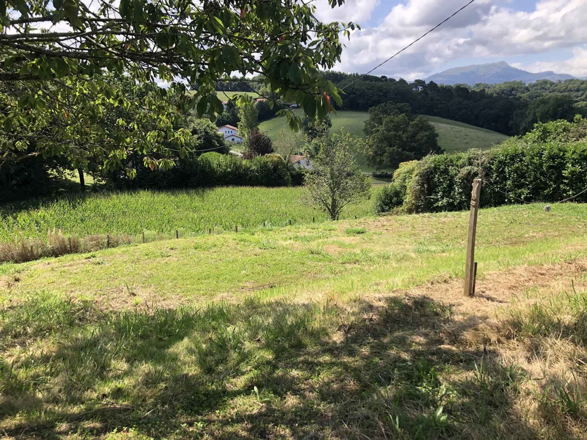 8545e1b5c8c0aefbc8f4b0916eeac786 72a9c16e6d 1920 original - Attribut alt par défaut.