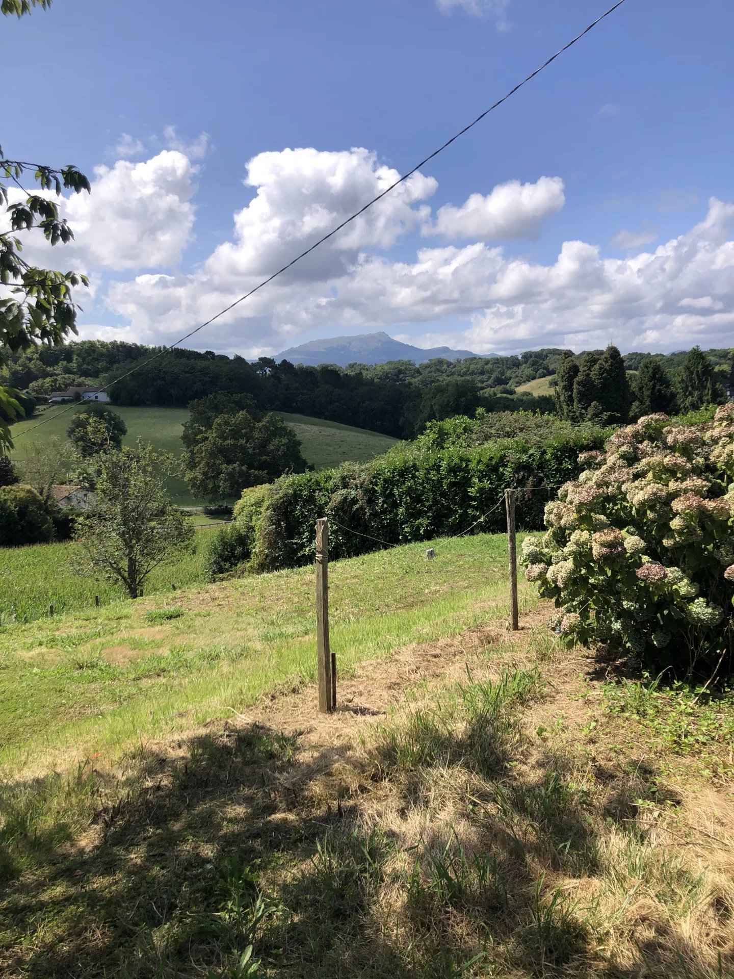 C1d4a34eead0b43588dd9e0333c0534c 488a8ee511 1920 original - Attribut alt par défaut.