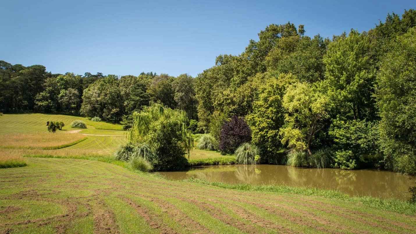 A54db566f61623e30cde303ca78e1f4b d8dc5bd0e1 1430 original - Attribut alt par défaut.