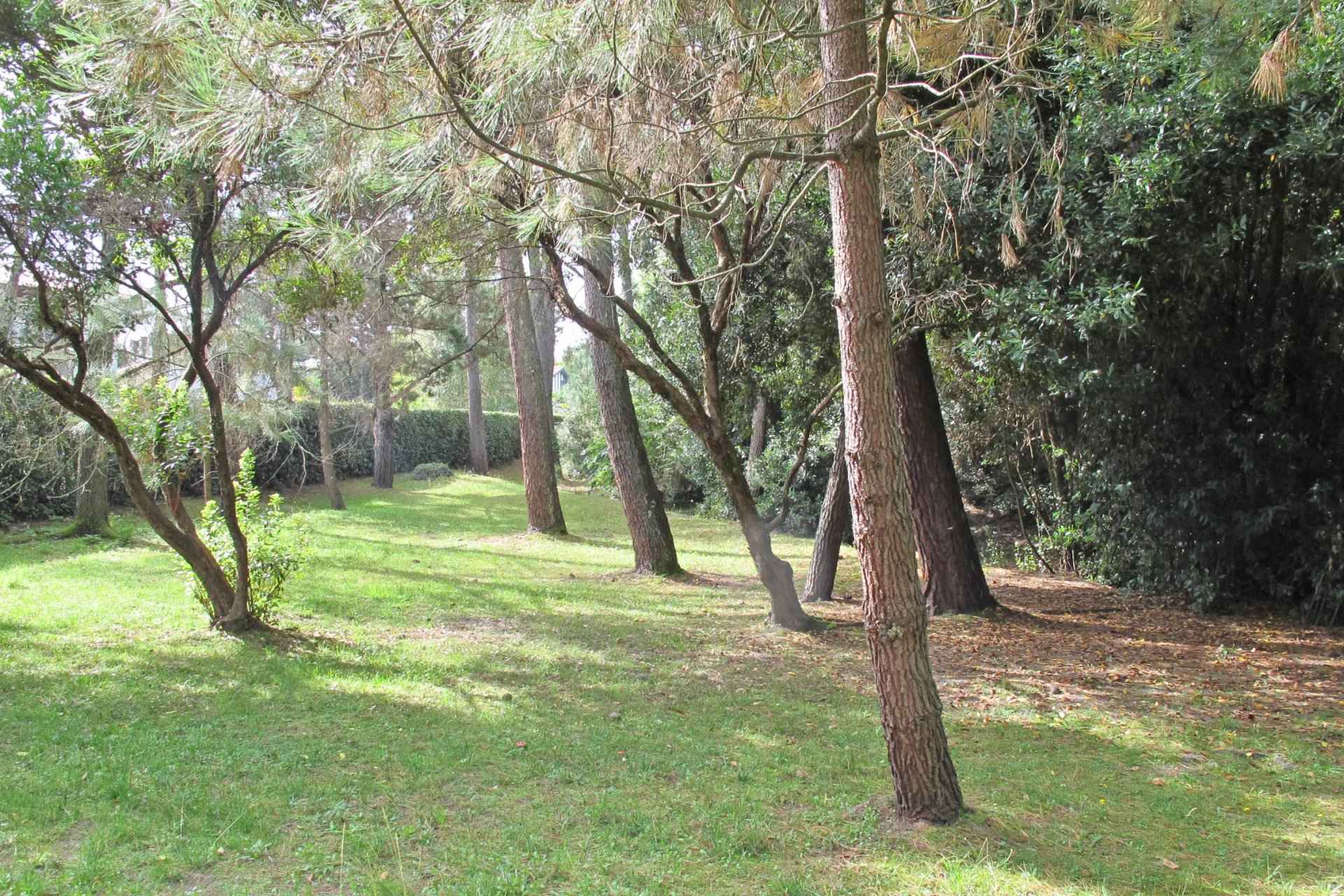 Ef1169375390331c1bcbac4bd4a20d13 eba91498d9 1920 original - Translation missing: en.helpers.application.image_tag.default_alt