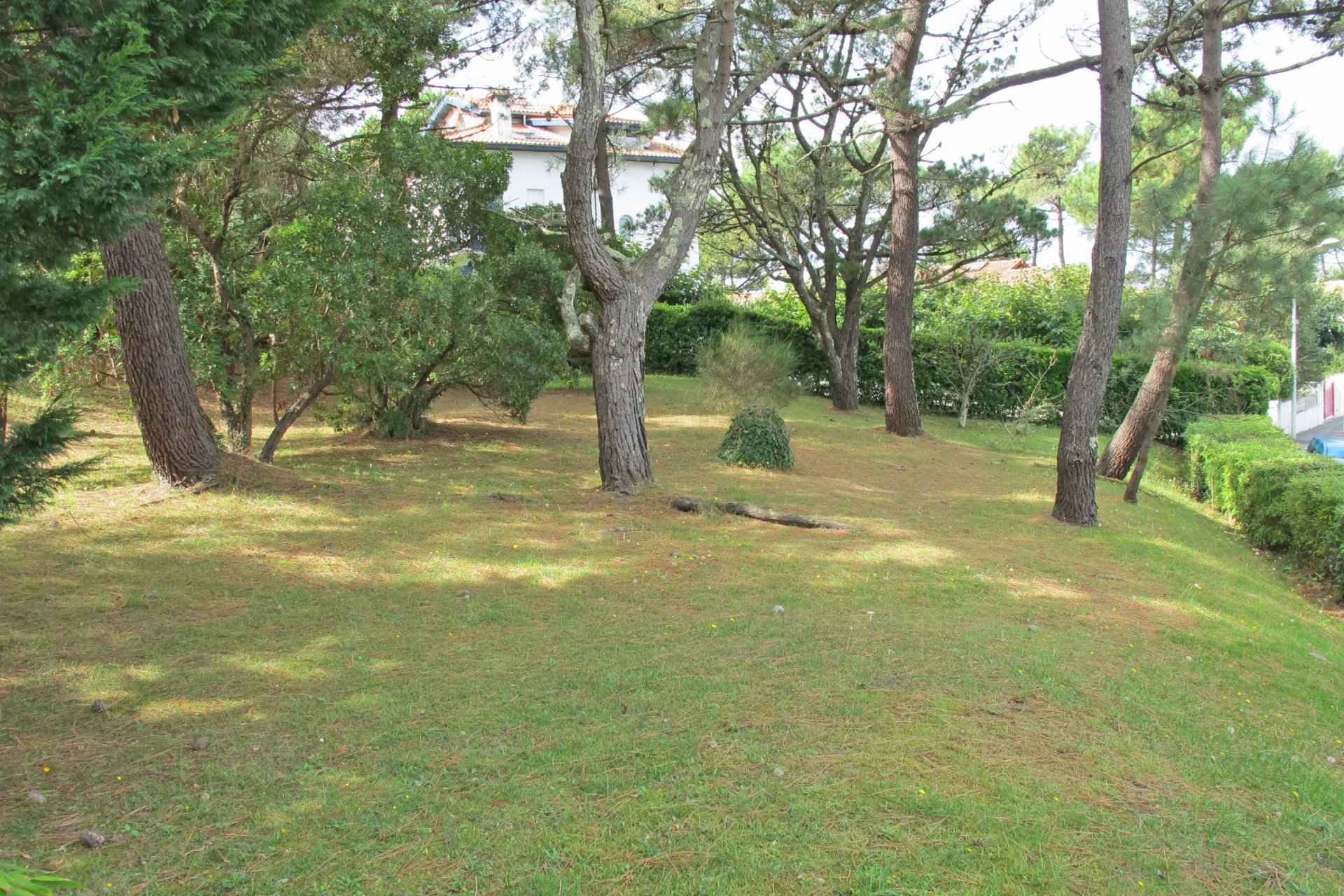 576fde19ba94755bdd021c551b8a1d71 e62fb4d8f8 1920 original - Translation missing: en.helpers.application.image_tag.default_alt