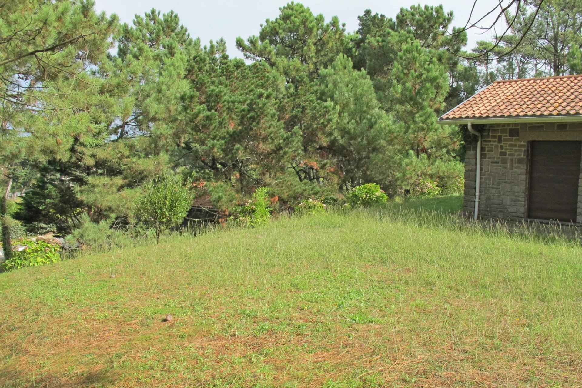 Ff88c0b11e885be840a89106f641f27a a9fff61464 1920 original - Translation missing: en.helpers.application.image_tag.default_alt