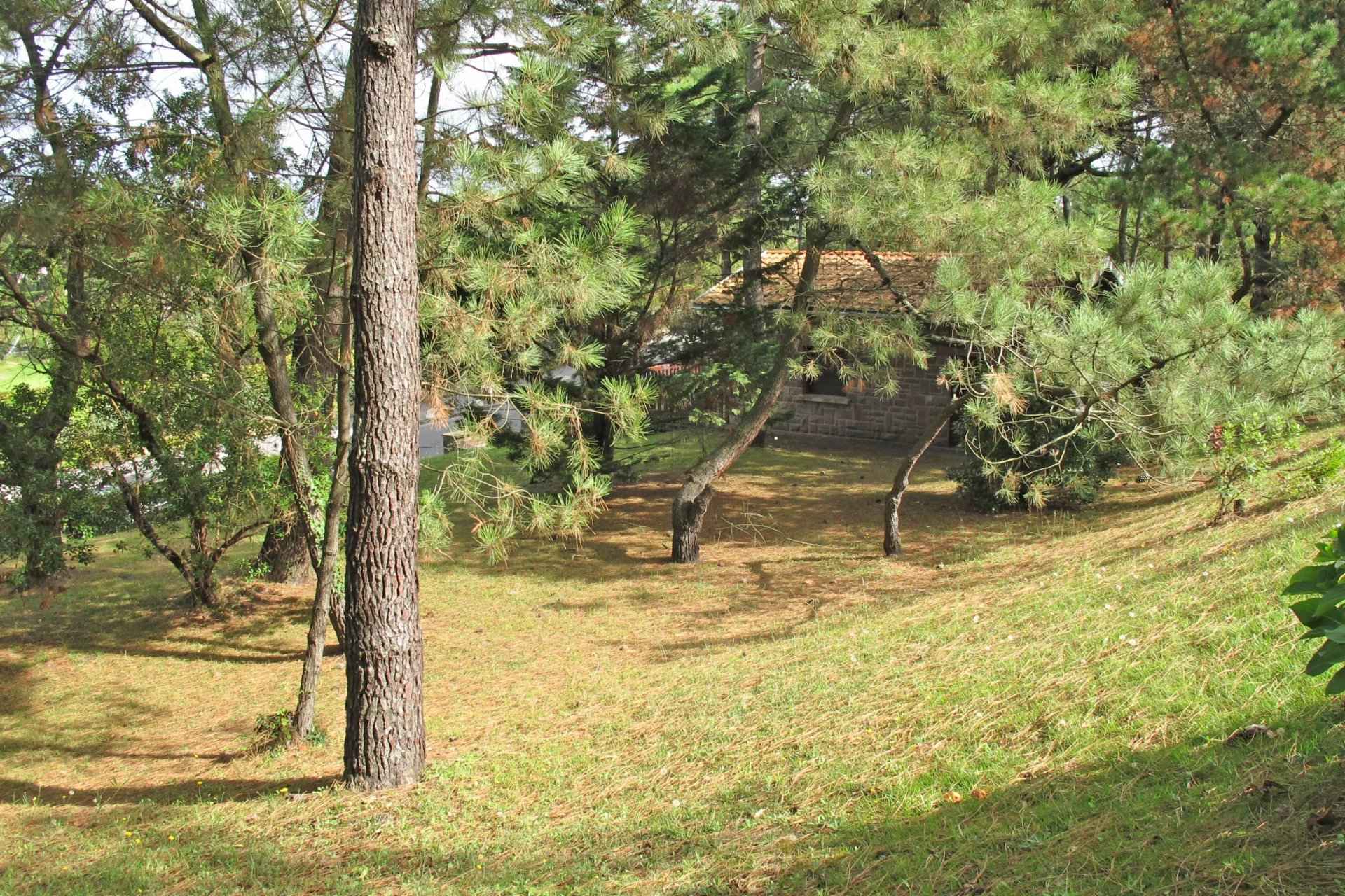 6c6cc2f0b22e5fdfe98a5787806bf292 3a8873ad29 1920 original - Translation missing: en.helpers.application.image_tag.default_alt