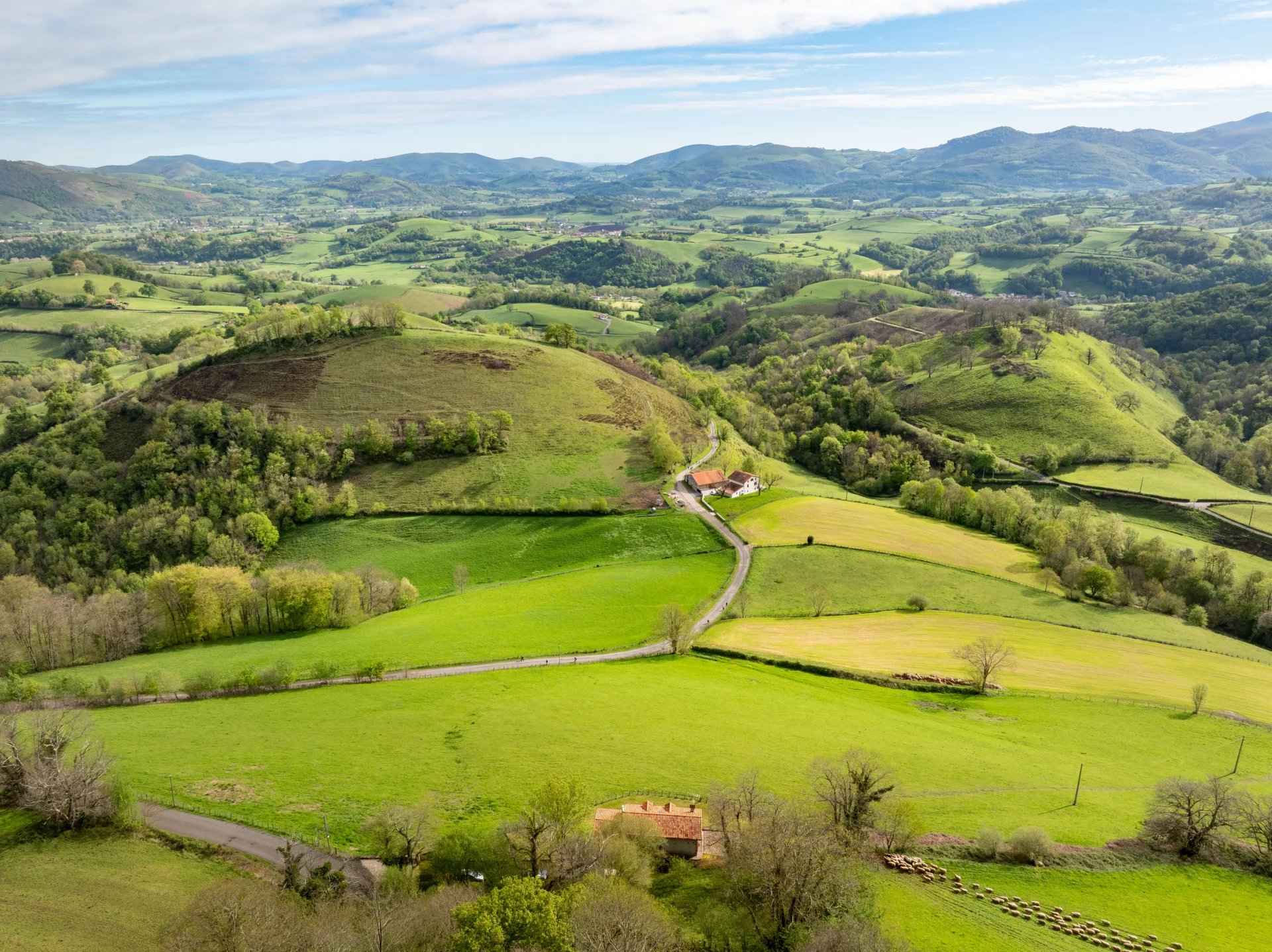 Abceb5835a45e28e1035af93b257ba11 354e2435f6 1920 original - Attribut alt par défaut.