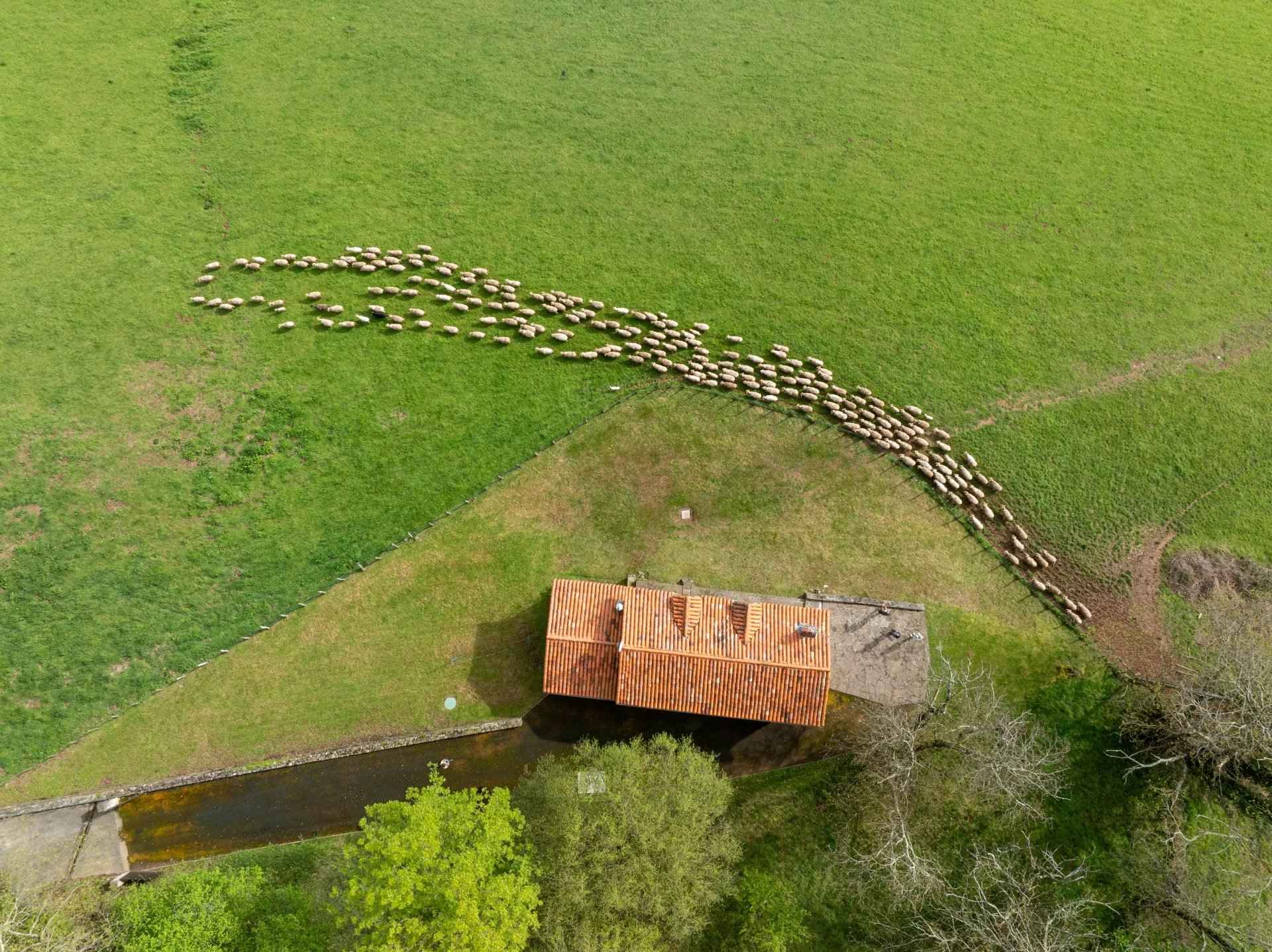 8599263de6d7153ae95c1f74426362cb f82eb23b78 1920 original - Attribut alt par défaut.