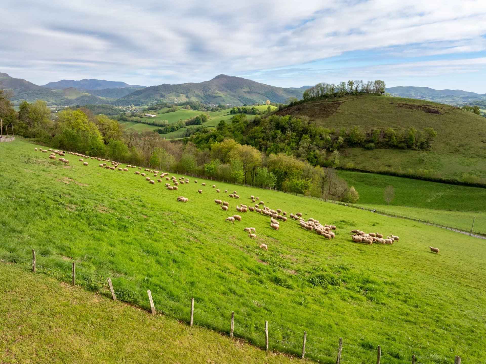 70c0ec4b25b2ef13bf4c70ffe0a58149 6b5ed5a8be 1920 original - Attribut alt par défaut.