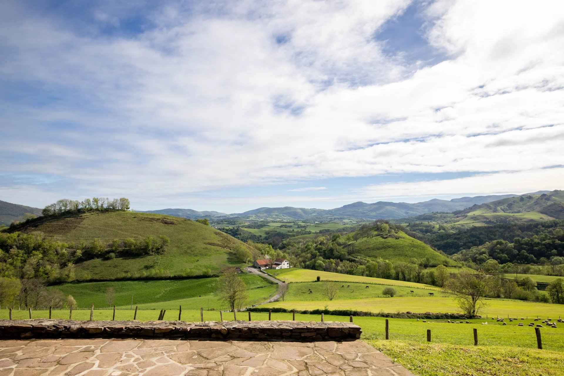 D6b3f95f558e95c369acd5a13a371074 41ae7f9351 1920 original - Attribut alt par défaut.