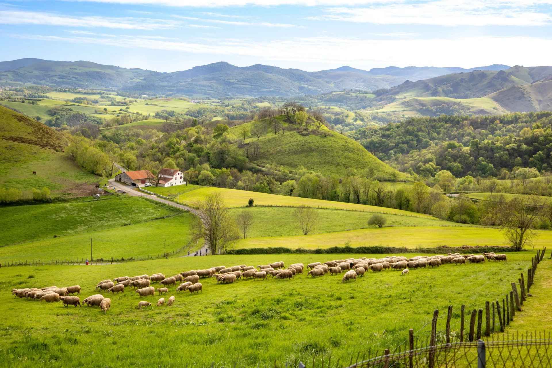 6a07c83c6ae3e802ea5050c8ccef3762 928003294c 1920 original - Attribut alt par défaut.