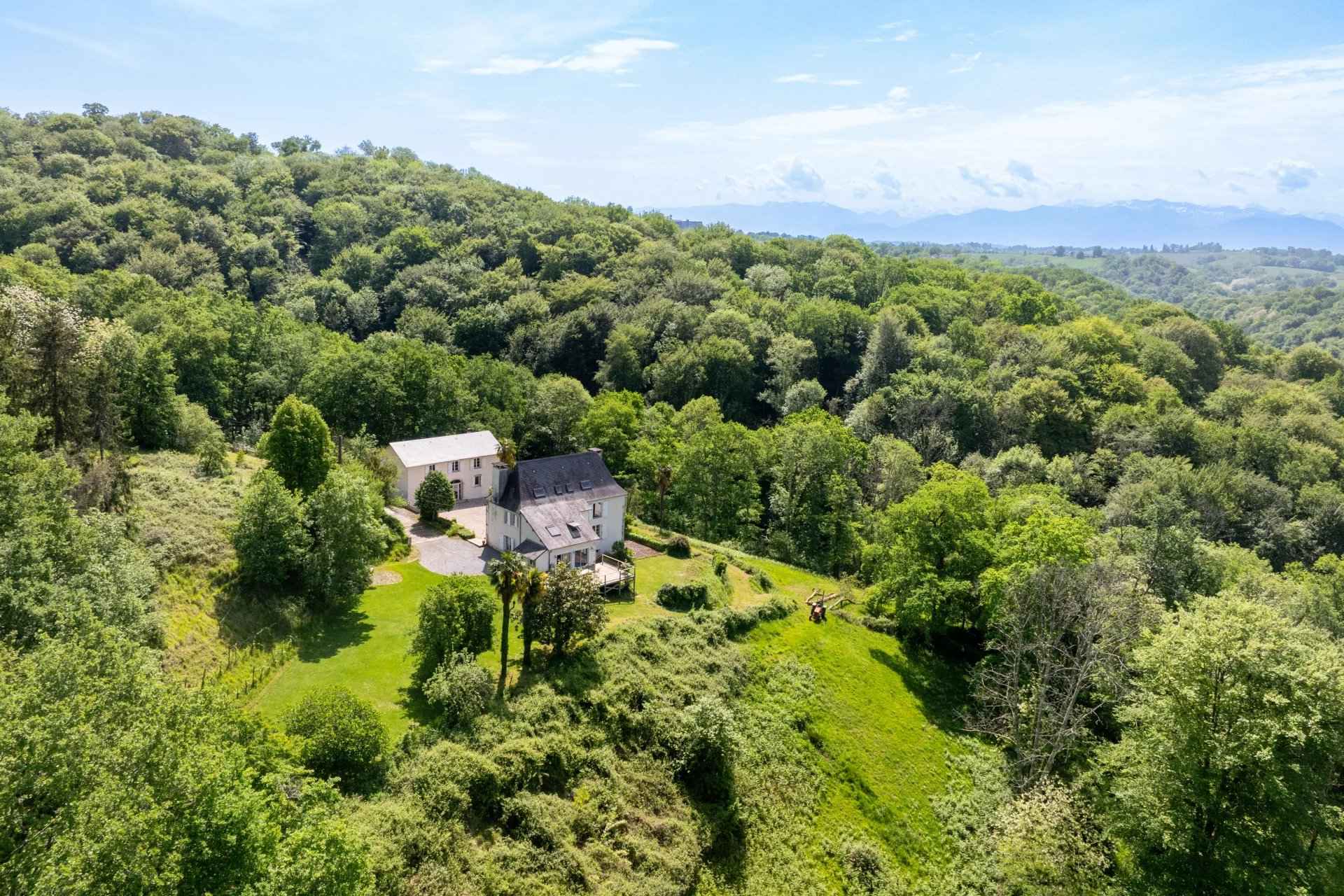 02ff6d37826a21dfc8e7727f637bbf46 17bea10182 1920 original - Translation missing: en.helpers.application.image_tag.default_alt