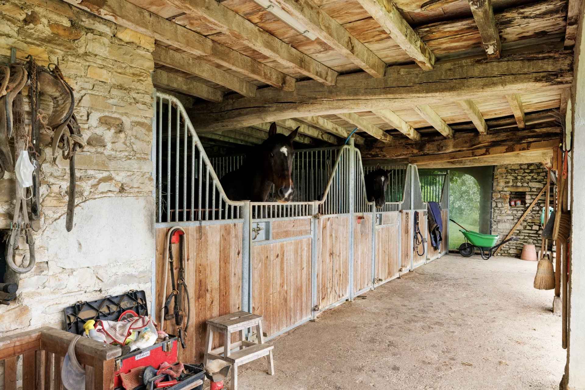 0921da69cfc137a2214c47fab01d24aa b8ba7a8eae 1920 original - Attribut alt par défaut.